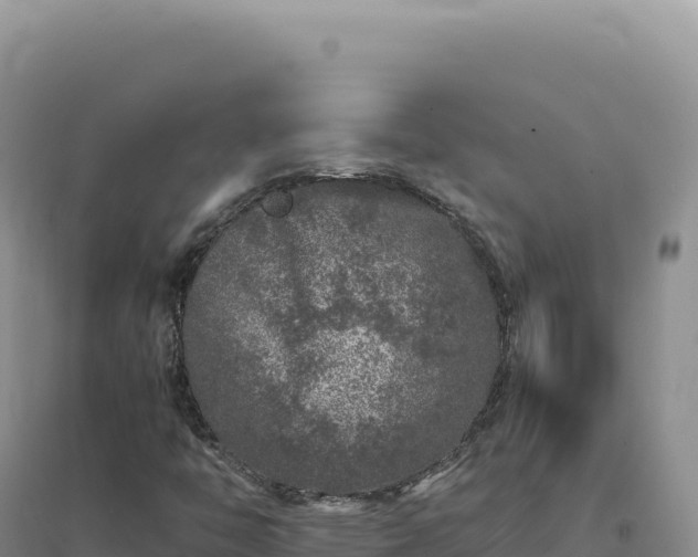 X0000094381446200711091550
