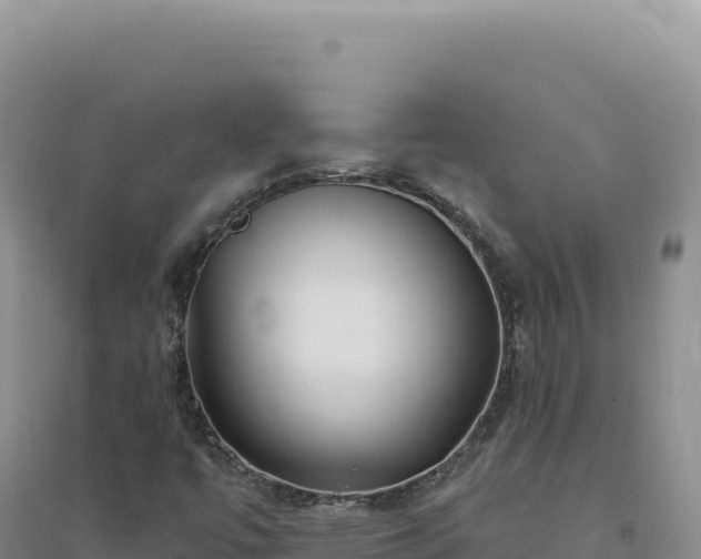 X0000094381447200711091550