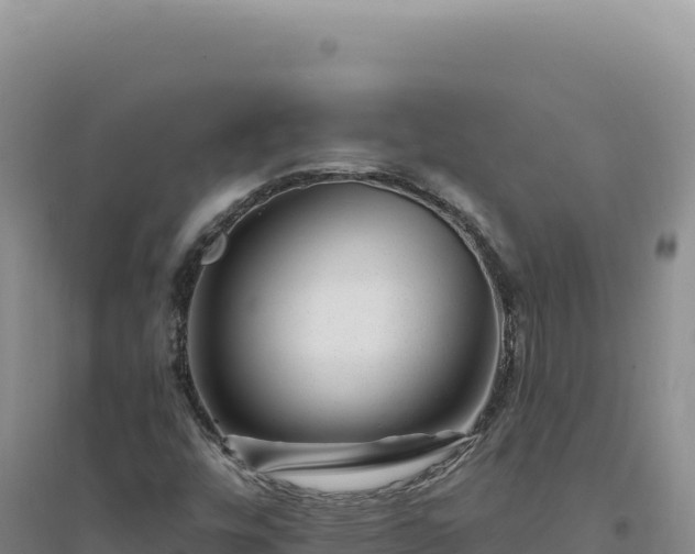 X0000094381448200711091550