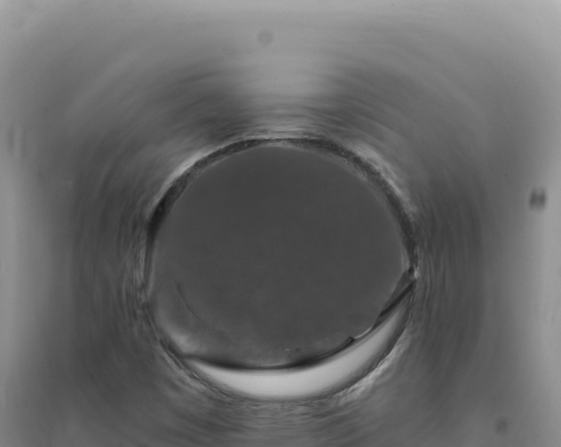 X0000094381449200711091550