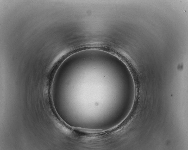 X0000094381450200711091550