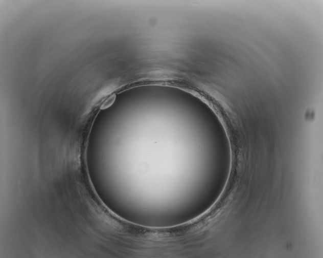 X0000094381451200711091550