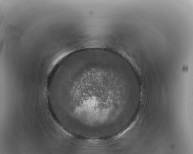 X0000094381453200711091550