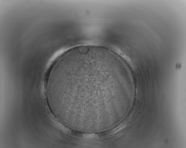 X0000094381454200711091550