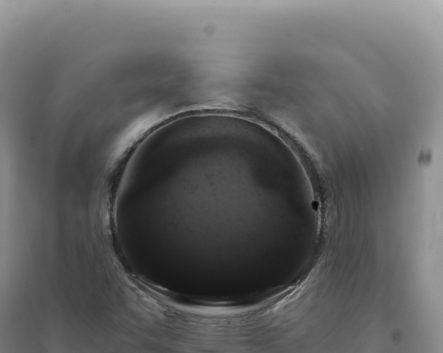 X0000094381455200711091550