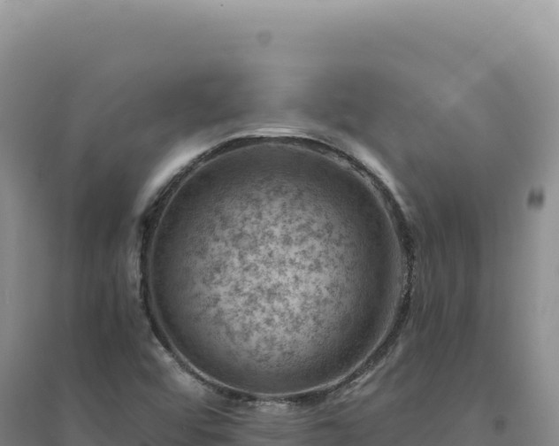X0000094381456200711091550