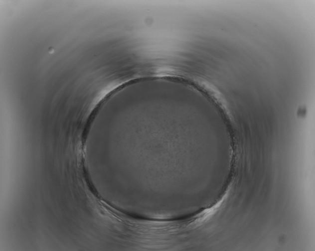 X0000094381457200711091550