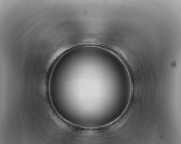 X0000094381458200711091550