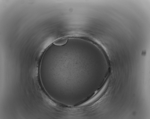 X0000094381459200711091550