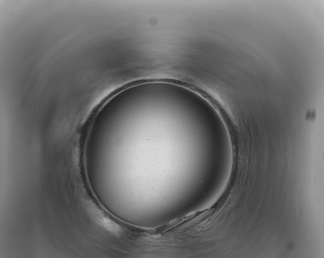 X0000094381460200711091550