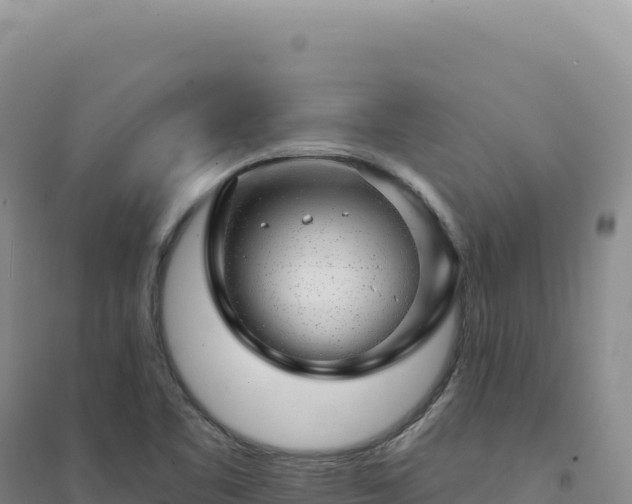 X0000094381461200711091550
