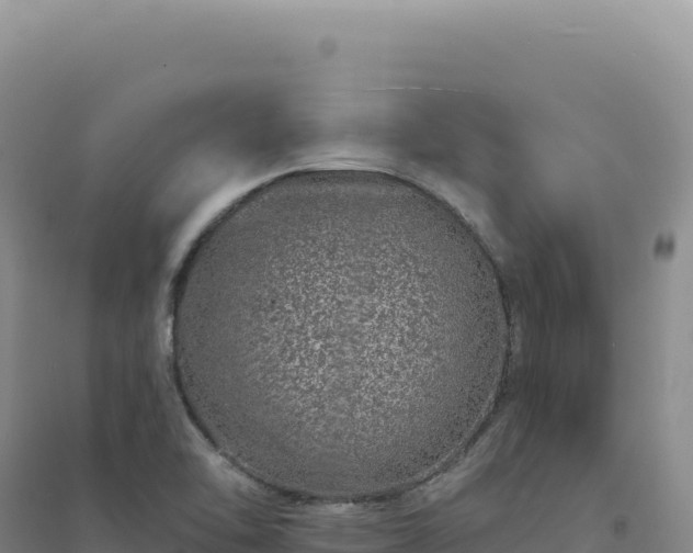 X0000094381462200711091550