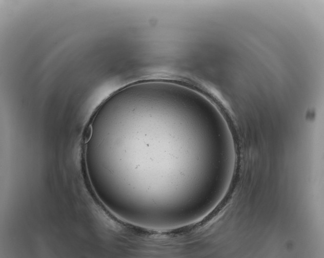 X0000094381463200711091550