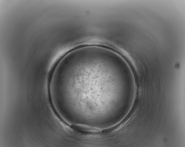 X0000094381464200711091550