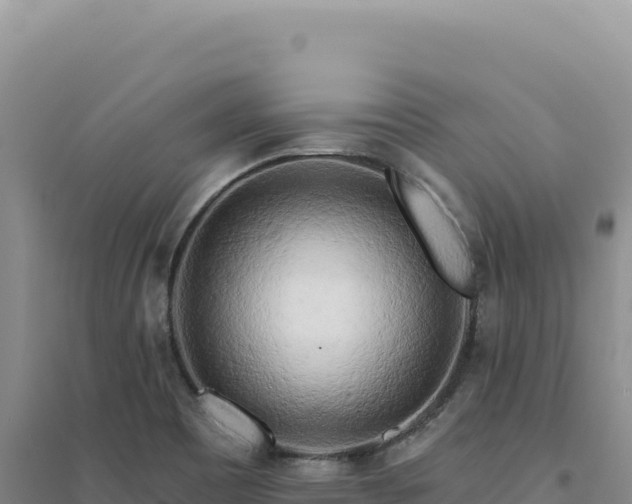 X0000094381465200711091550