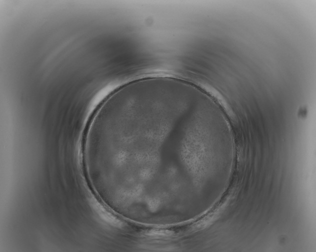 X0000094381466200711091550