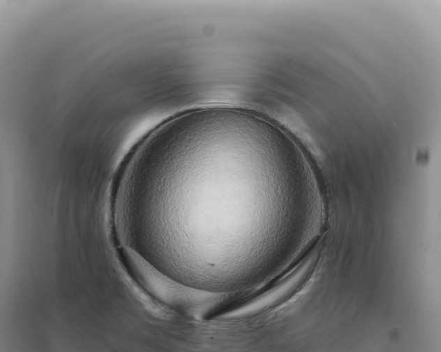 X0000094381469200711091550