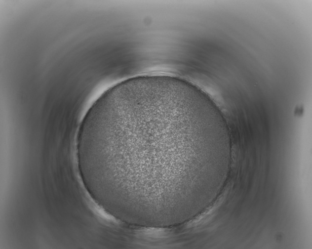 X0000094381470200711091550