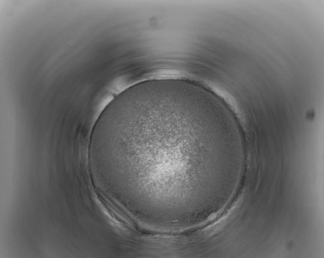 X0000094381473200711091550