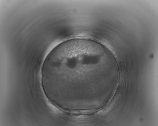 X0000094381474200711091550