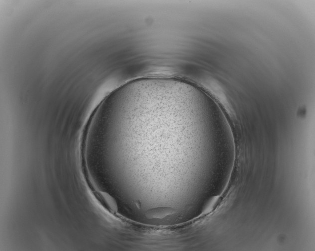 X0000094381475200711091550