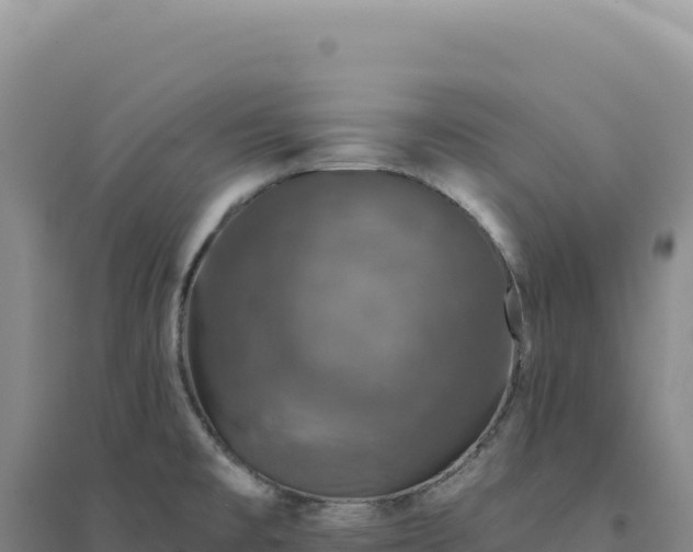 X0000094381477200711091550