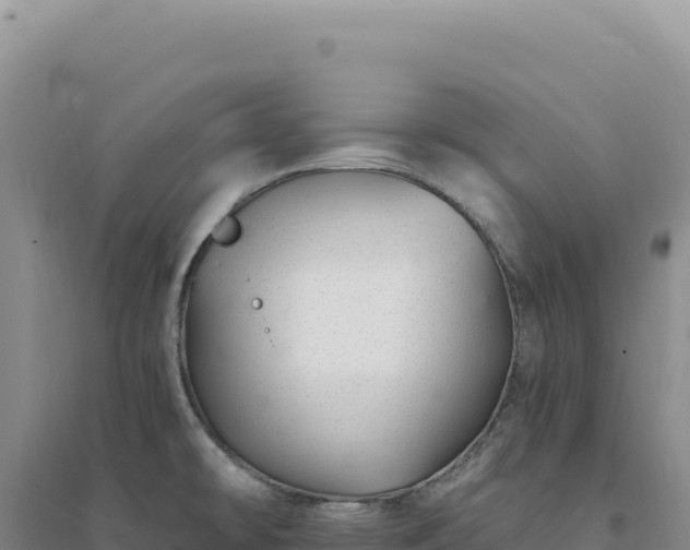 X0000094381478200711091550