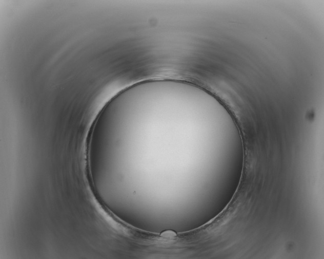 X0000094381479200711091550