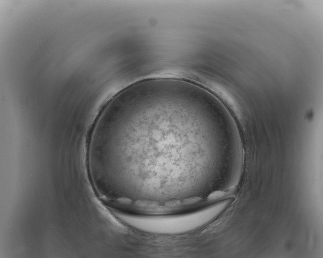 X0000094381480200711091550