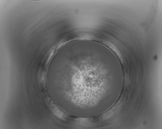 X0000094381481200711091550