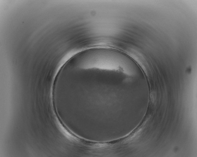 X0000094381482200711091550