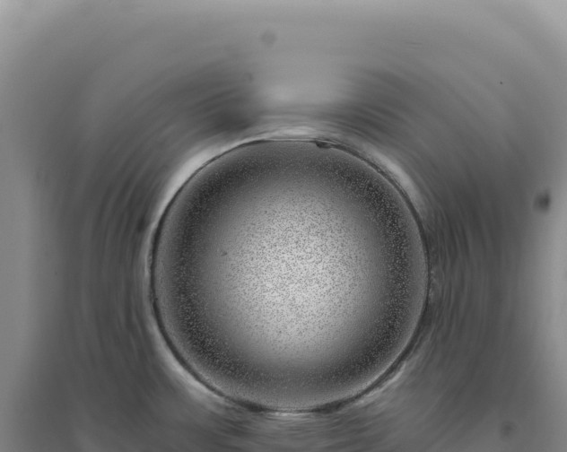X0000094381483200711091550