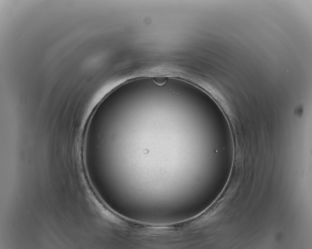 X0000094381486200711091550