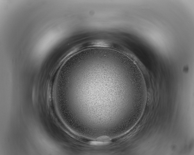 X0000094381487200711091550