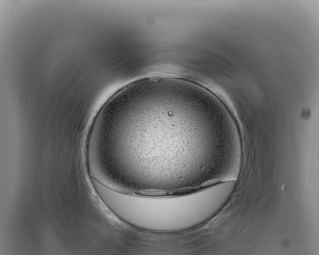 X0000094381488200711091550