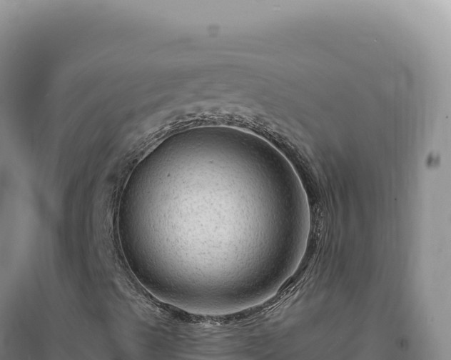 X0000094381489200711091549