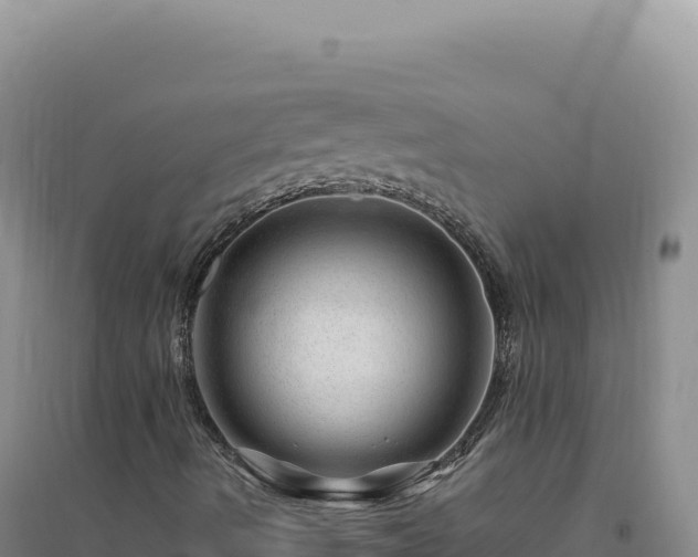 X0000094381490200711091549