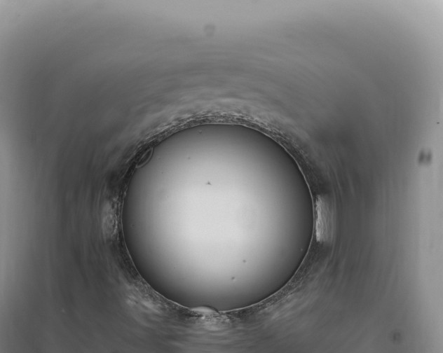 X0000094381491200711091549