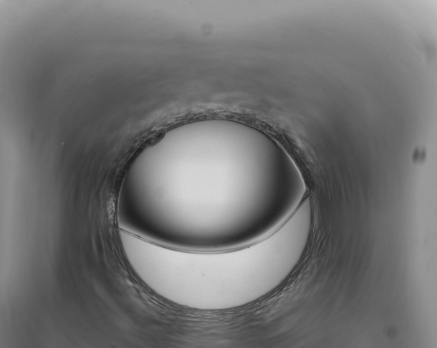 X0000094381492200711091549