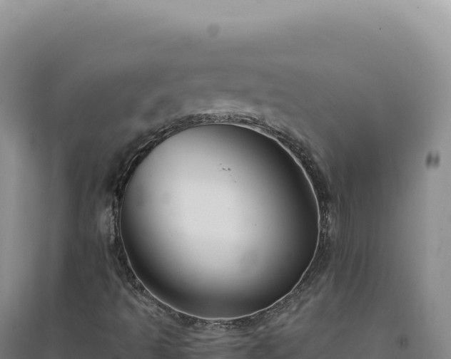 X0000094381493200711091549