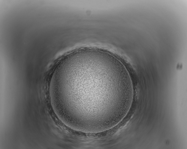 X0000094381494200711091549