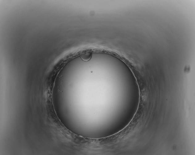 X0000094381495200711091549