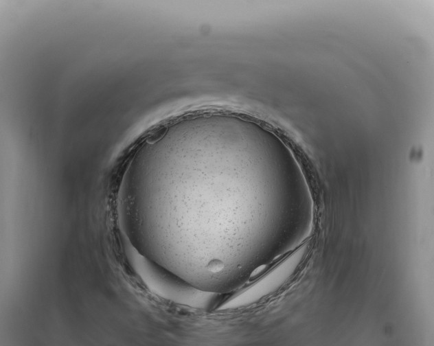 X0000094381496200711091549