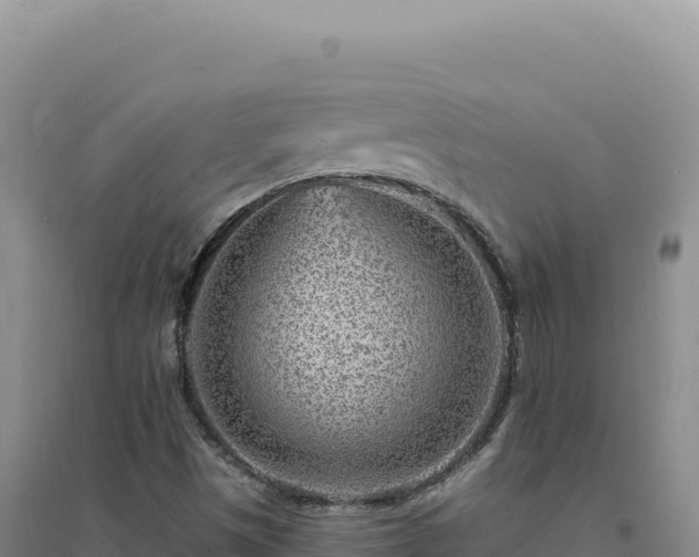 X0000094381497200711091549