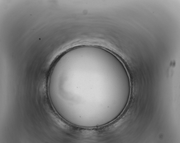 X0000094381498200711091549