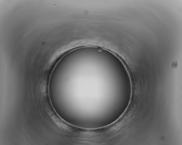X0000094381499200711091549