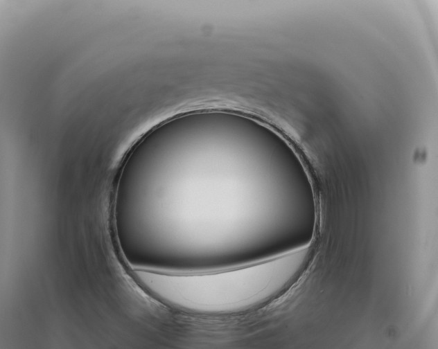 X0000094381500200711091549