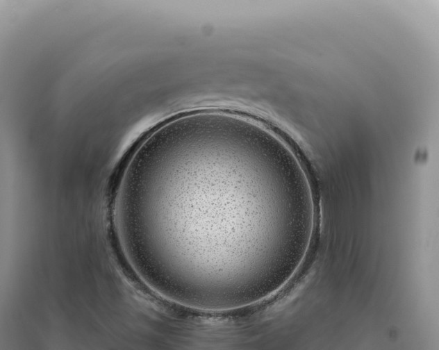 X0000094381501200711091549