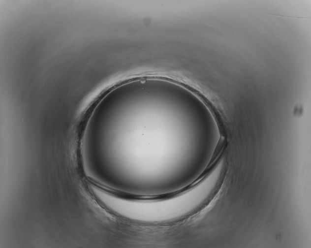 X0000094381502200711091549