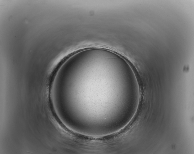 X0000094381503200711091549